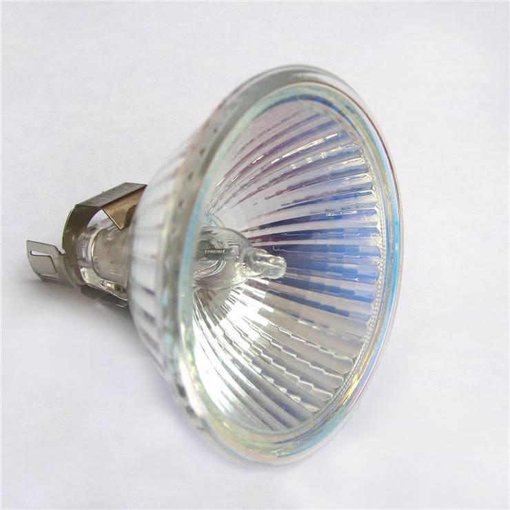 Halogen Light Bulb